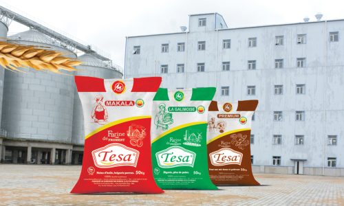 La Qualité au Cœur de Notre Production